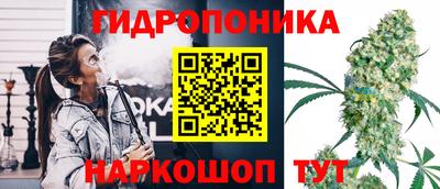 спайс Владивосток