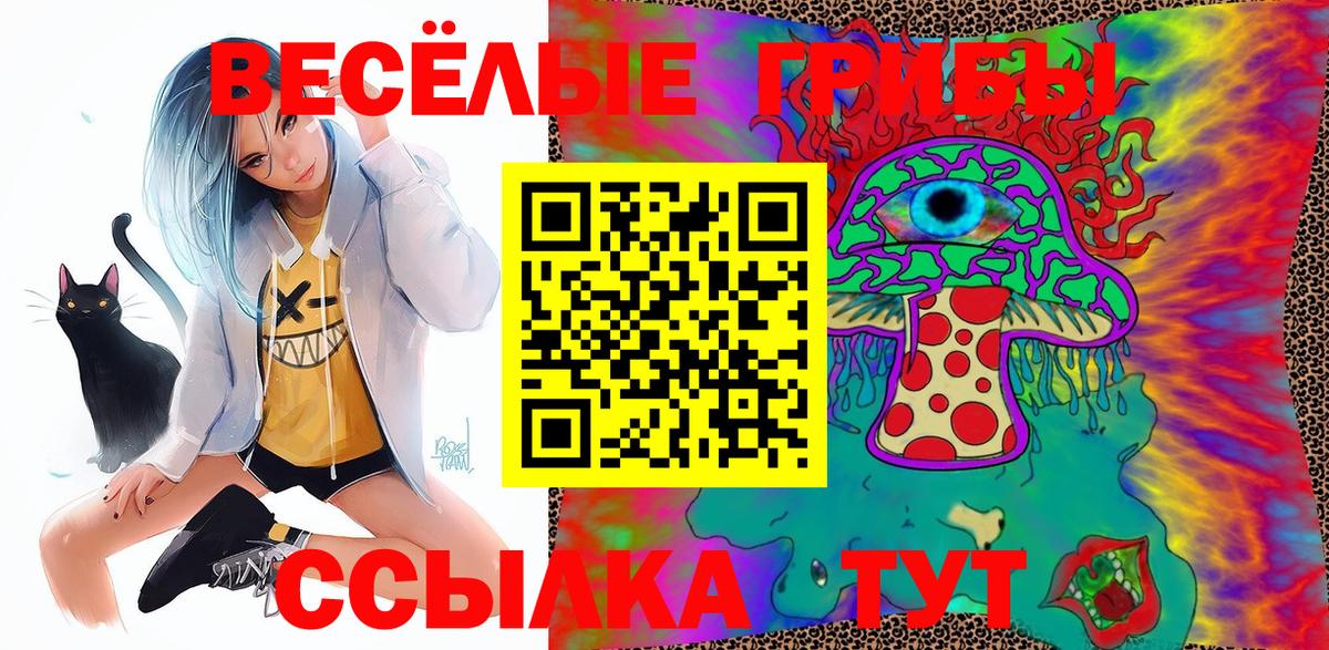 Галлюциногенные грибы Psilocybe  Галлюциногенные грибы MAGIC MUSHROOMS  Белово  где продают наркотики  Вход с VPN 